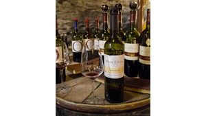 Виноделие и винный туризм #П0047